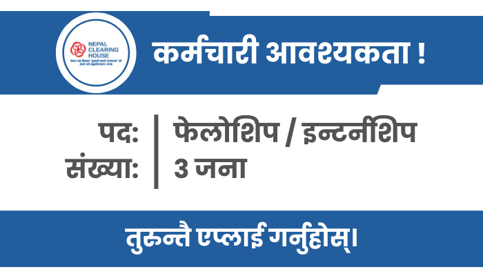 Fellowship/ Internship Jobs in Kathmandu at Nepal Clearing House Ltd. (NCHL)