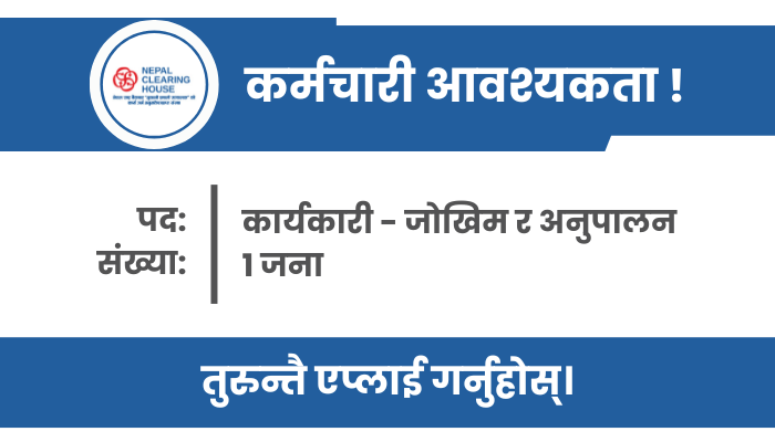Executive - Risk & Compliance Vacancy in Kathmandu at Nepal Clearing House Ltd. (NCHL)