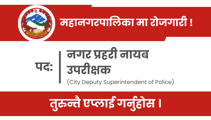 City Police Deputy Superintendent Jobs at Bharatpur MahaNagarpalika