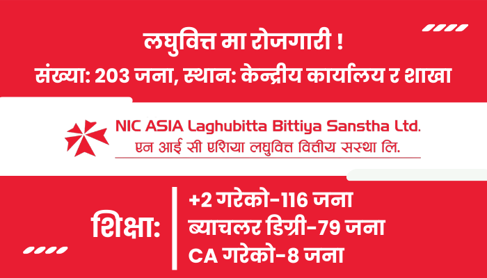 203 staff are hiring at NIC Asia Laghubitta Bittiya Sanstha Ltd. for all branches.