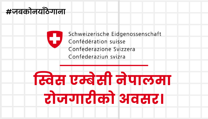 Embassy of Switzerland Recruitment 2081: Join Our Team