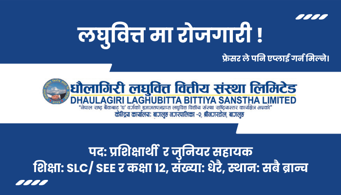 Trainee & Junior Assistant Vacancy at Dhaulagiri Laghubitta Bittiya Sanstha Ltd. (DLBSL) in All branches