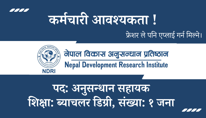 Research Assistant Vacancy at Nepal Development Research Institute in Lalitpur
