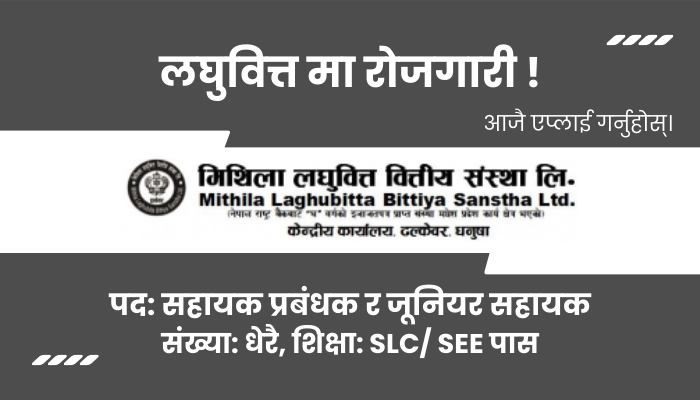 Assistant Manager & Junior Assistant Jobs at Mithila Laghubitta Bittiya Sanstha in Dhanusha