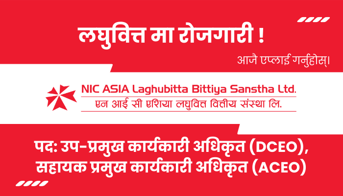 DCEO & ACEO Job Opportunity at NIC Asia Microfinance Financial Institution Ltd. in Banepa