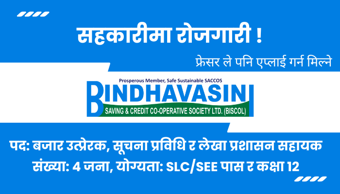 Bindhavasini Savings and Credit Cooperative Society Ltd Job Openings 2080: Apply Now!